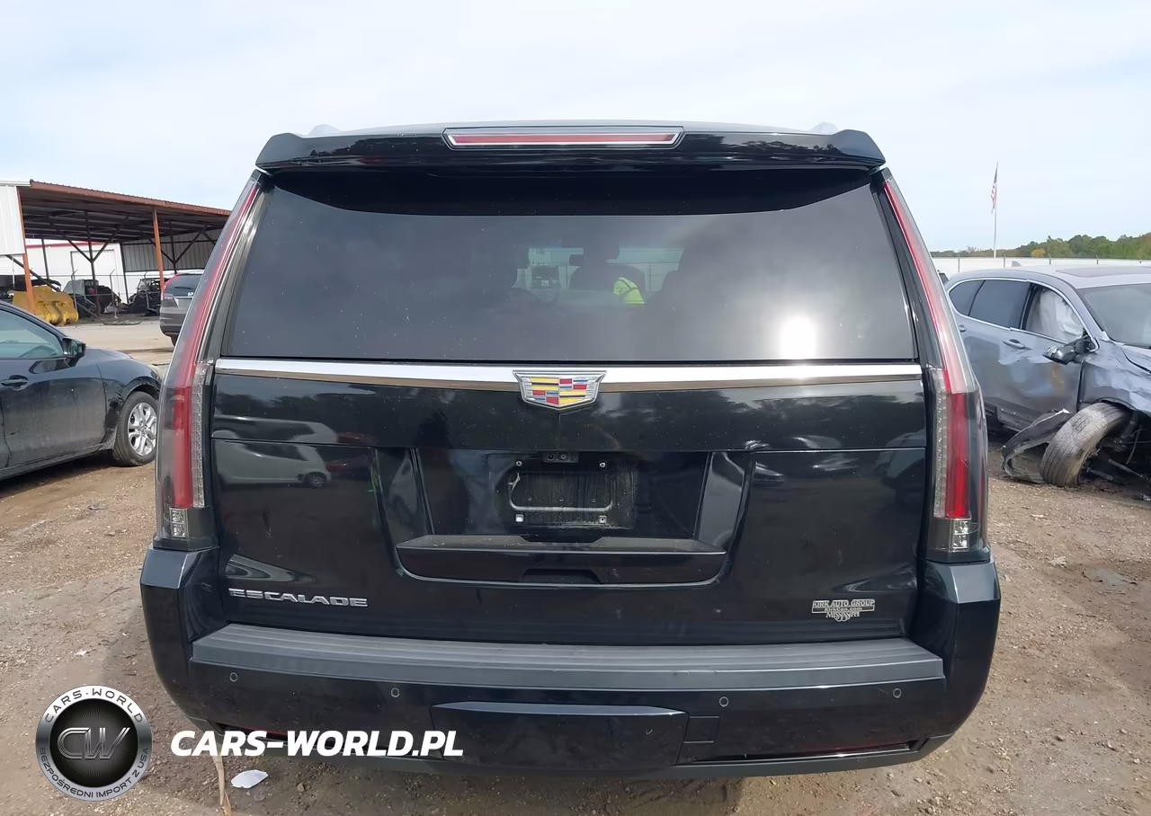 2019 Cadillac Escalade Luxury VIN:1GYS4BKJ6KR378511 - 16