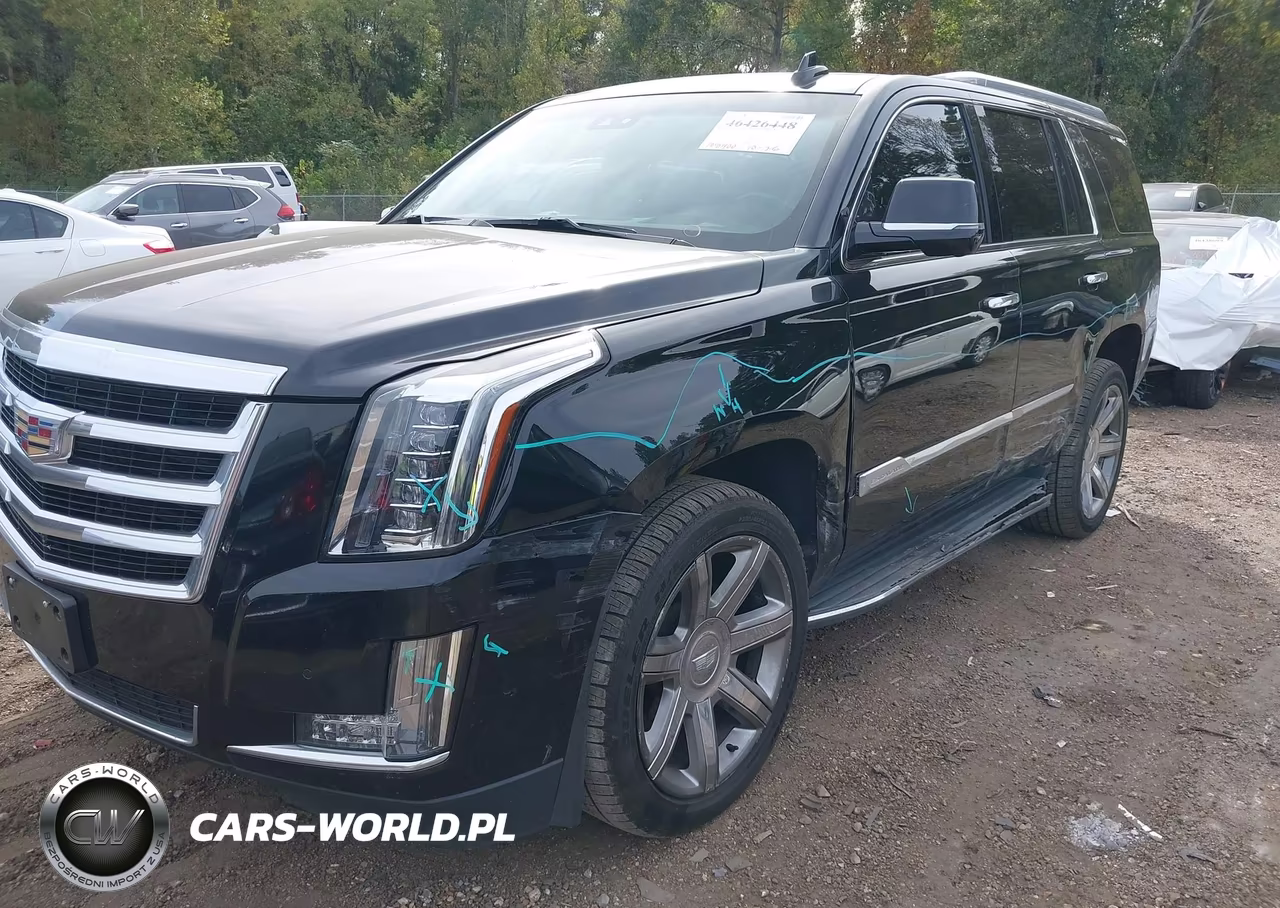 2019 Cadillac Escalade Luxury VIN:1GYS4BKJ6KR378511 - 2