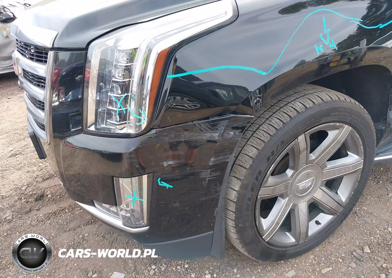 2019 Cadillac Escalade Luxury VIN:1GYS4BKJ6KR378511 - 6