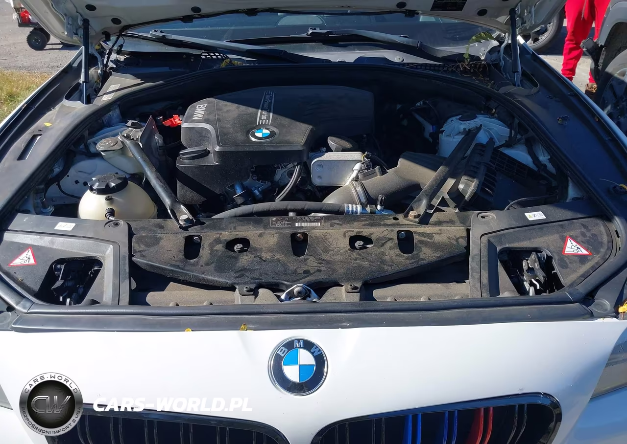 2013 BMW 528I xDrive VIN:WBAXH5C56DDW11951 - 10