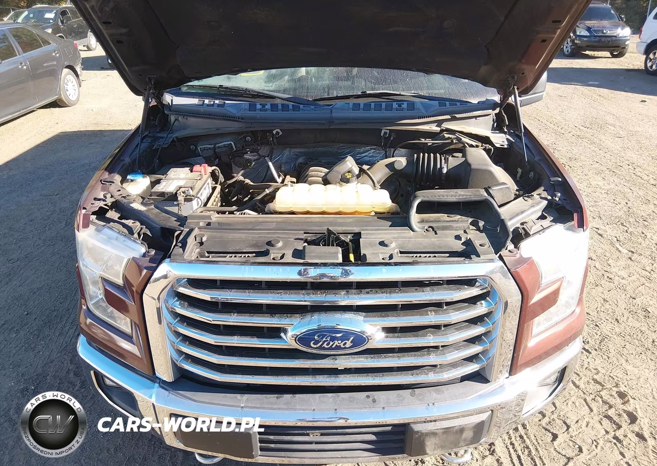 2015 Ford F-150 Xlt VIN:1FTEW1EFXFFA37134 - 10