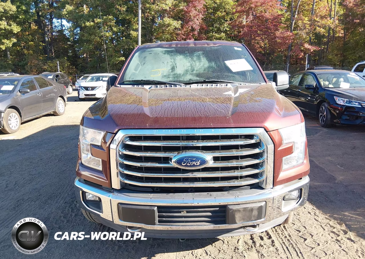 2015 Ford F-150 Xlt VIN:1FTEW1EFXFFA37134 - 12