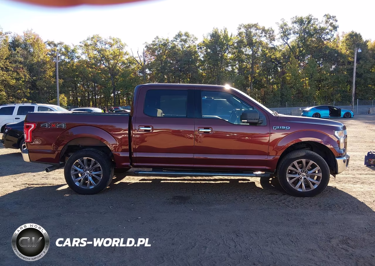2015 Ford F-150 Xlt VIN:1FTEW1EFXFFA37134 - 13