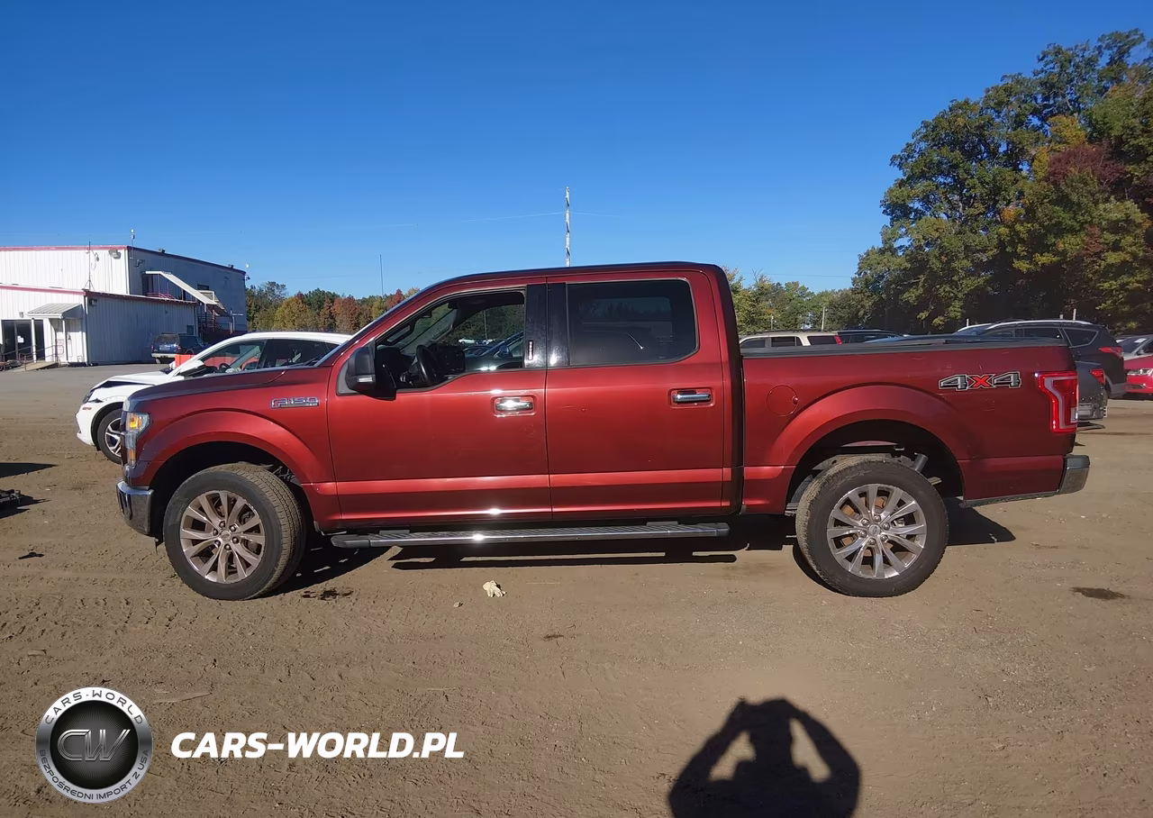 2015 Ford F-150 Xlt VIN:1FTEW1EFXFFA37134 - 14