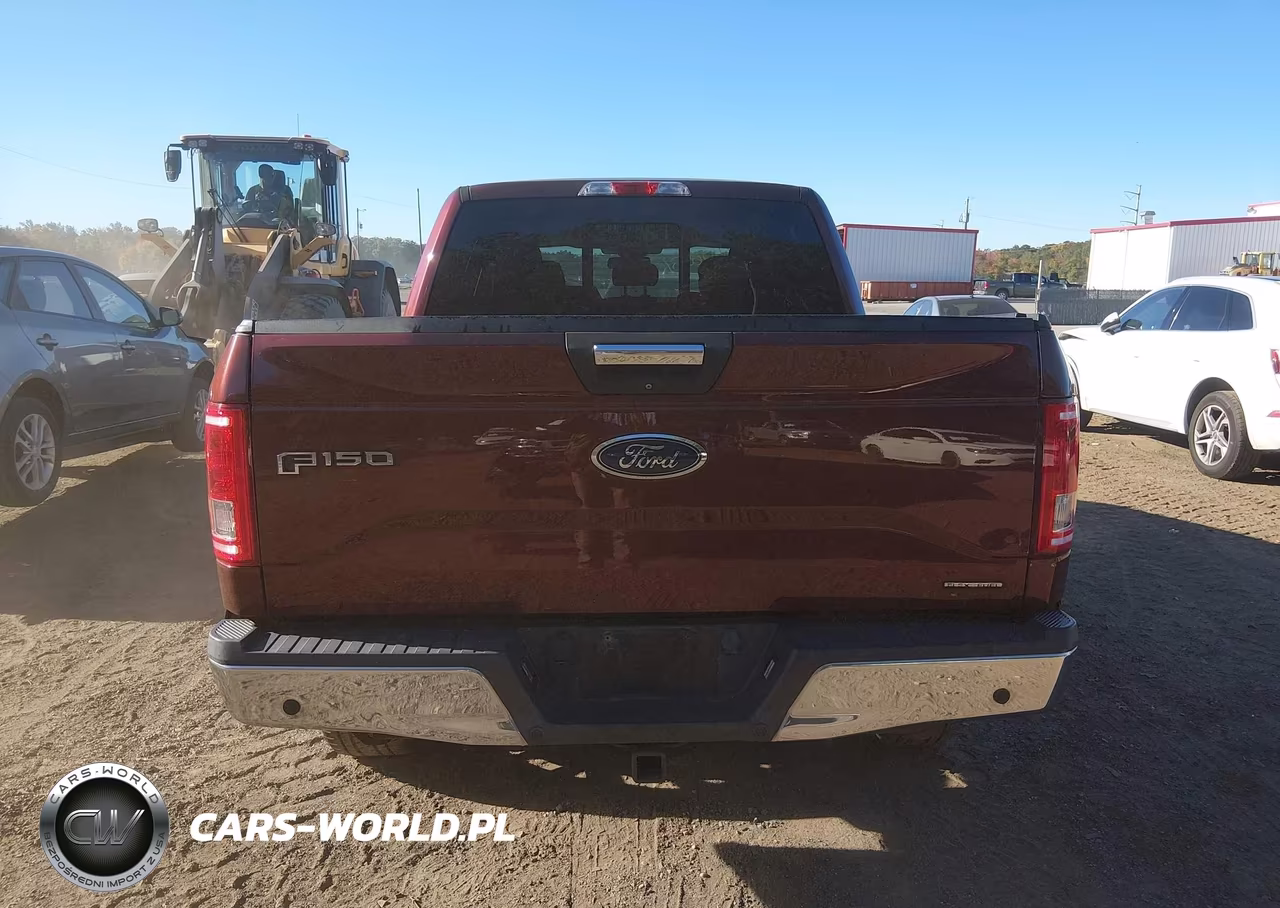 2015 Ford F-150 Xlt VIN:1FTEW1EFXFFA37134 - 16