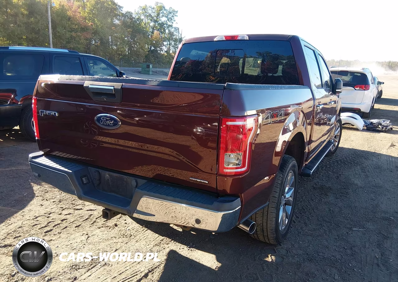 2015 Ford F-150 Xlt VIN:1FTEW1EFXFFA37134 - 4