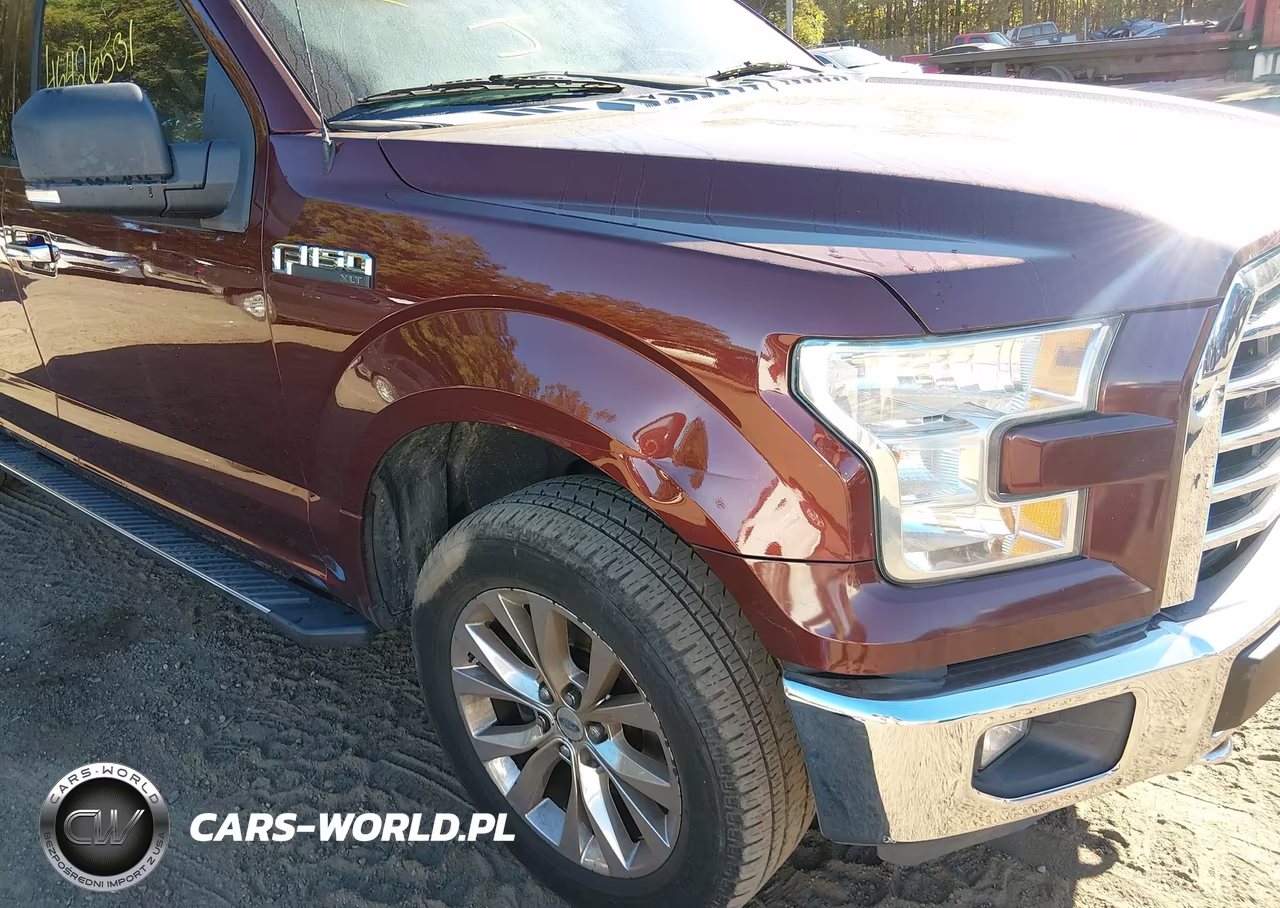 2015 Ford F-150 Xlt VIN:1FTEW1EFXFFA37134 - 6