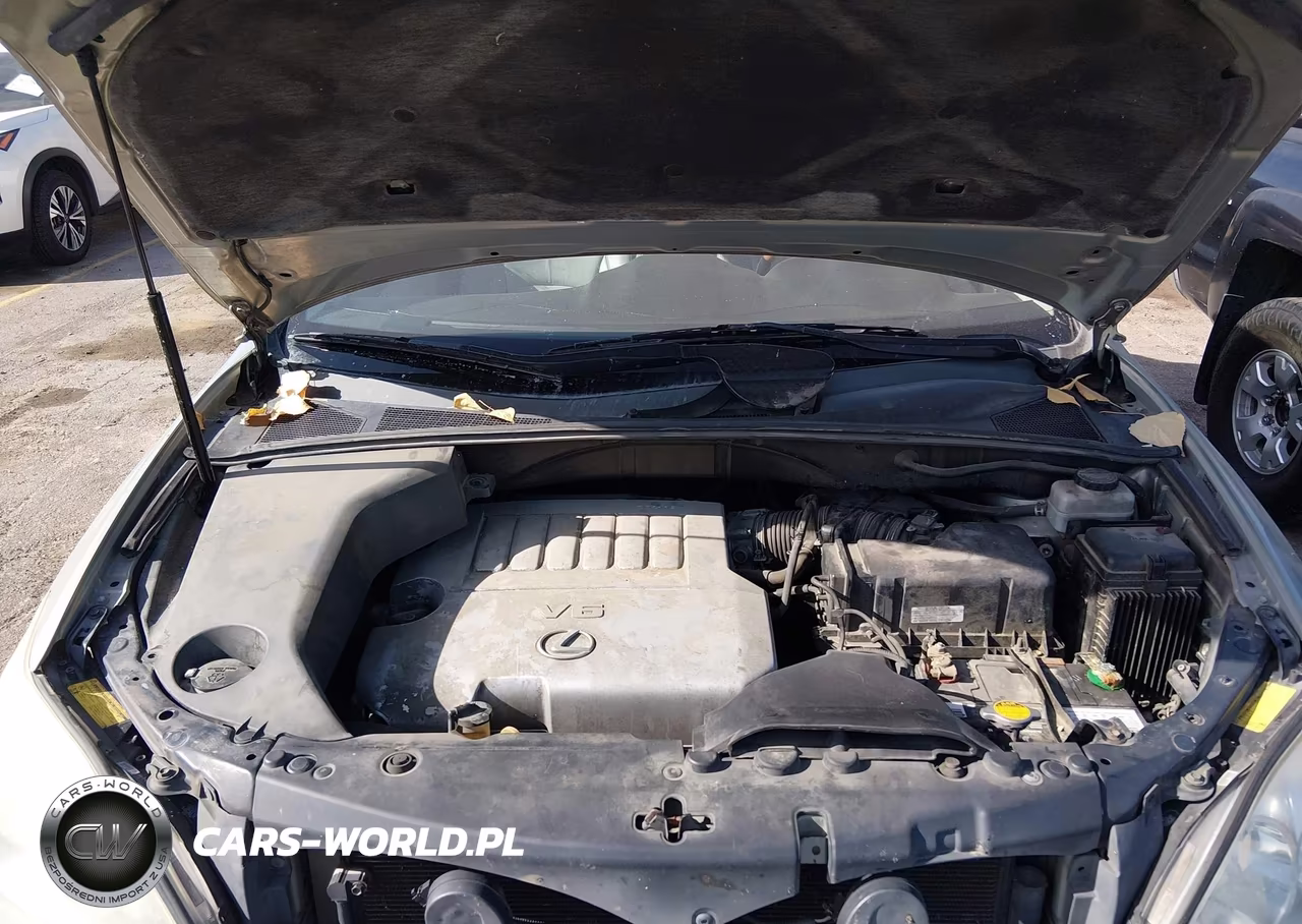 2007 Lexus Rx 350 VIN:2T2HK31U87C013476 - 10