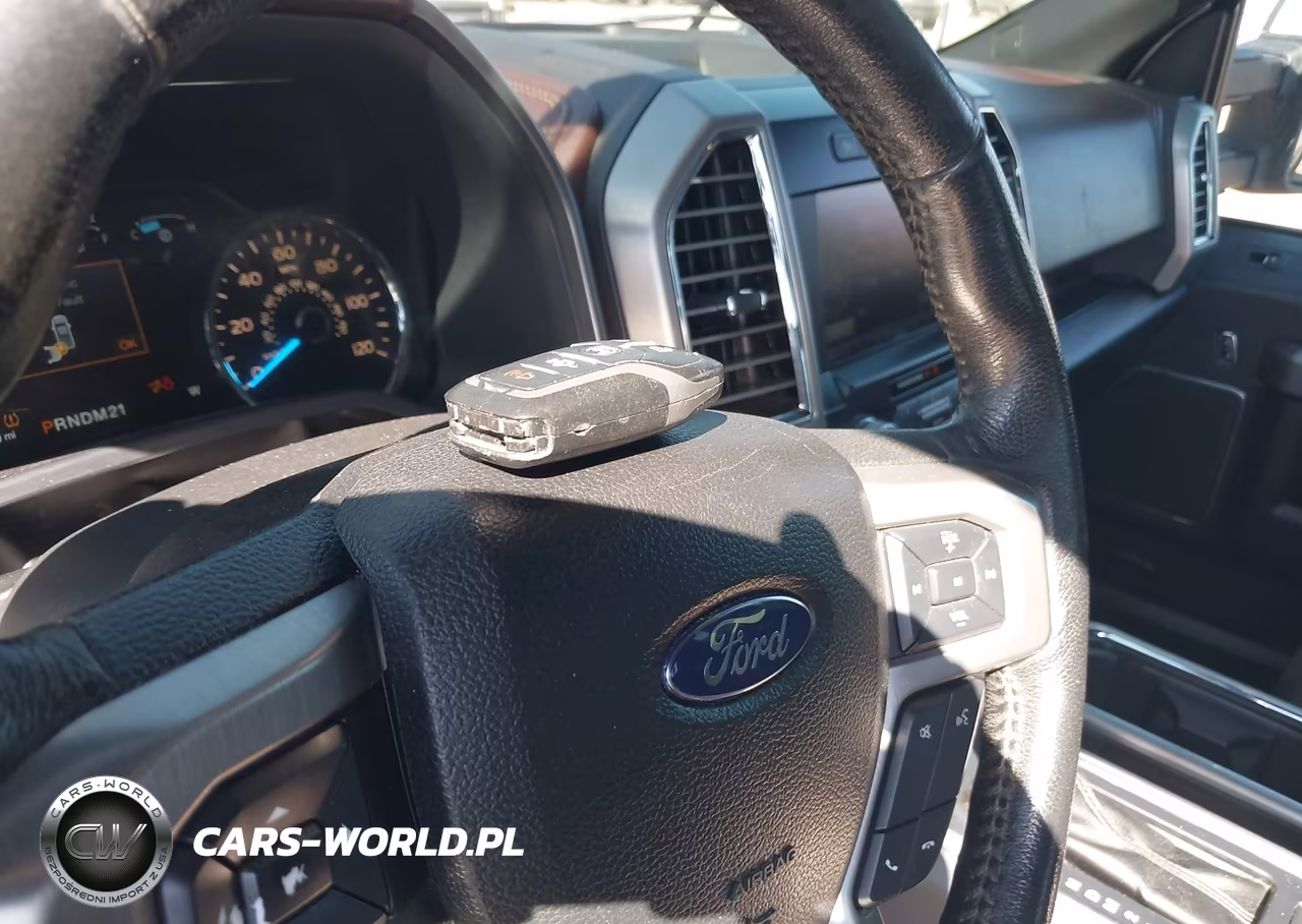 2015 Ford F-150 Platinum VIN:1FTEW1EG1FFB11663 - 11