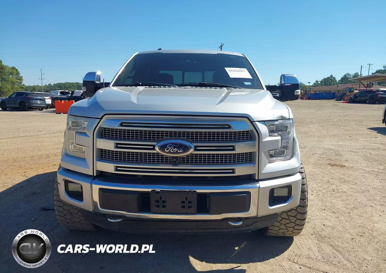 2015 Ford F-150 Platinum VIN:1FTEW1EG1FFB11663 - 12