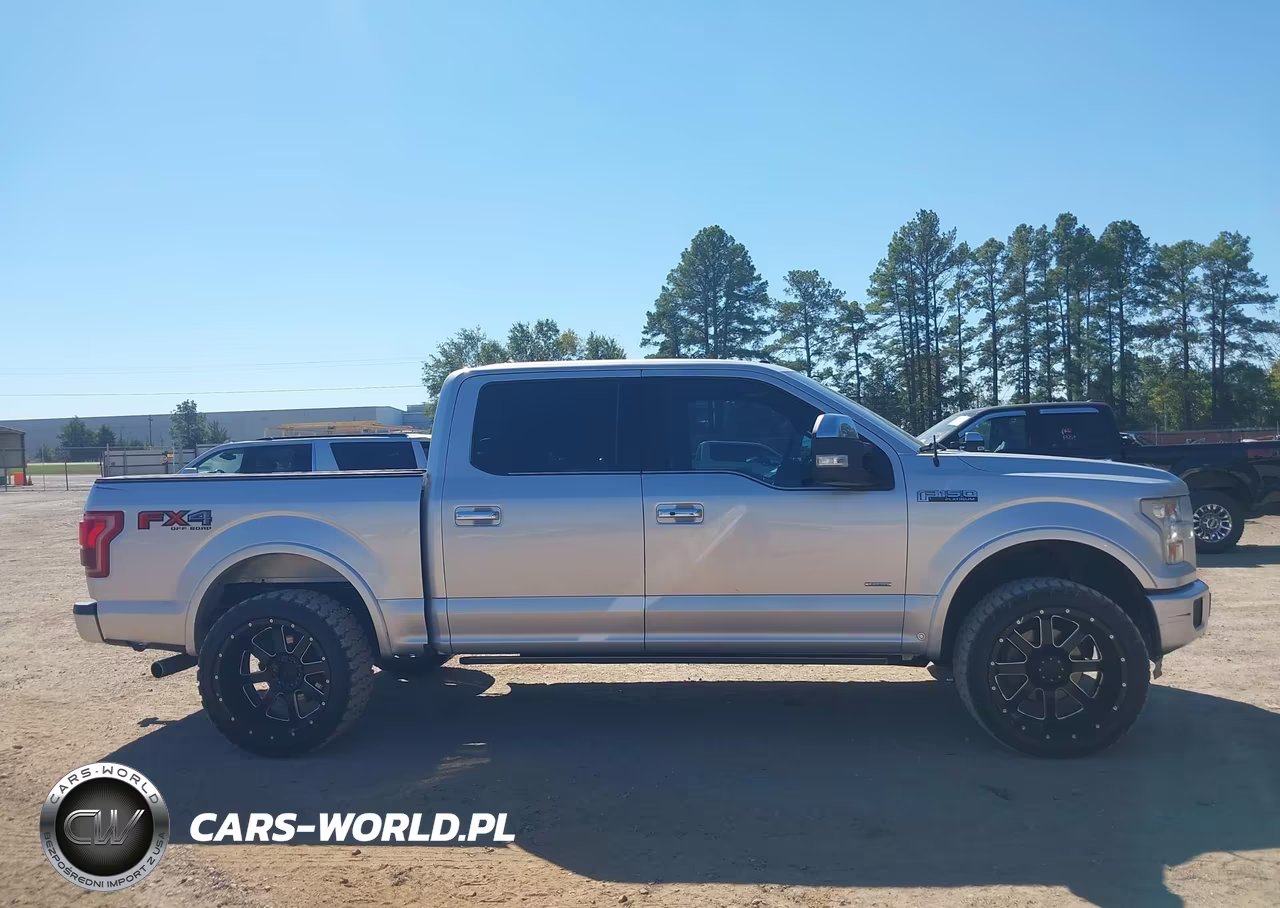 2015 Ford F-150 Platinum VIN:1FTEW1EG1FFB11663 - 13