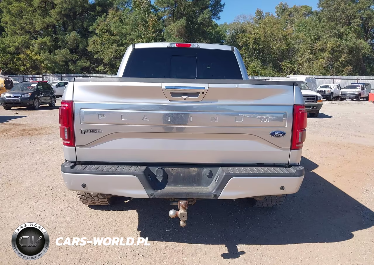 2015 Ford F-150 Platinum VIN:1FTEW1EG1FFB11663 - 16