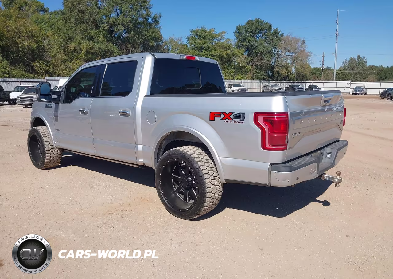 2015 Ford F-150 Platinum VIN:1FTEW1EG1FFB11663 - 3