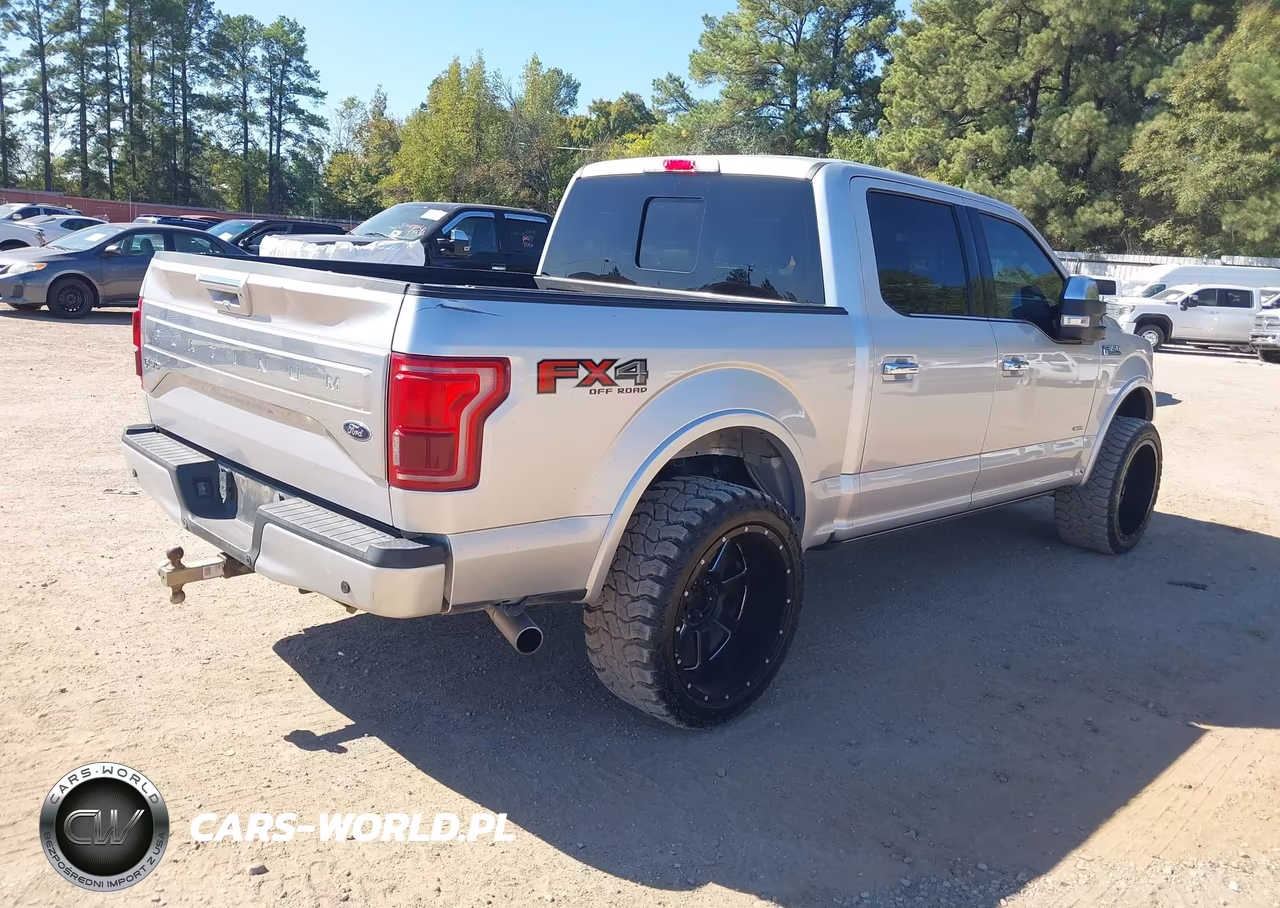 2015 Ford F-150 Platinum VIN:1FTEW1EG1FFB11663 - 4