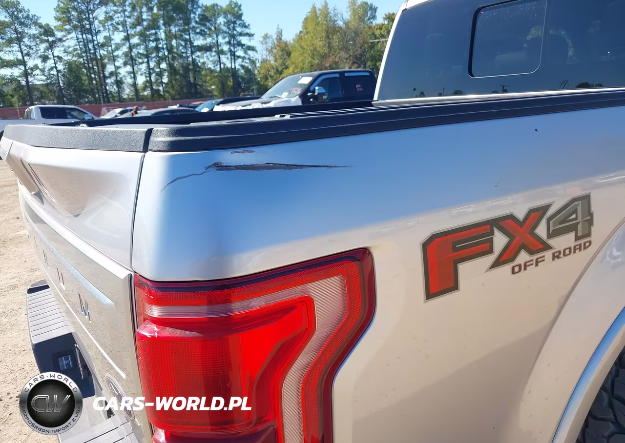 2015 Ford F-150 Platinum VIN:1FTEW1EG1FFB11663 - 6
