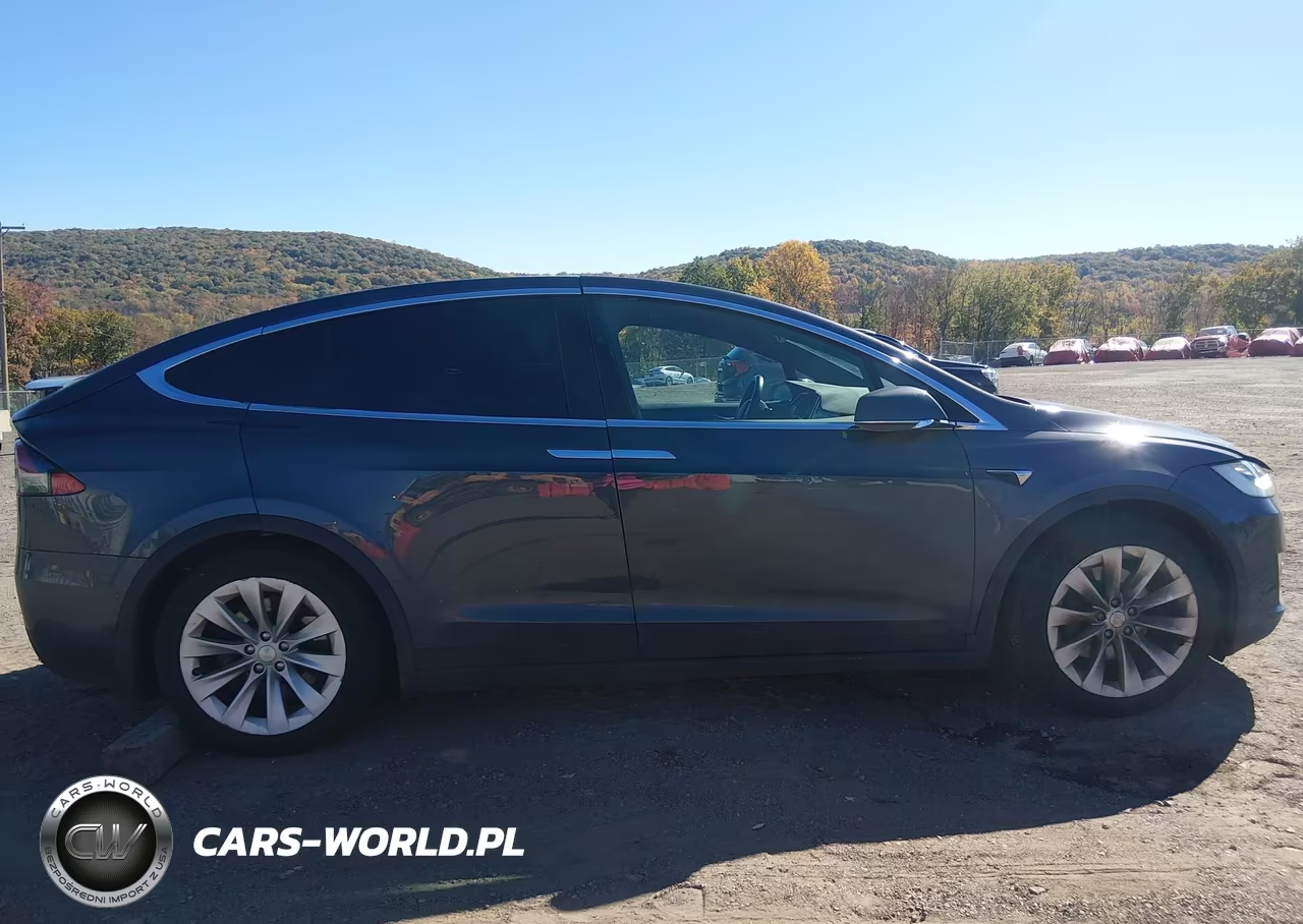 2017 Tesla Model X 100D-75D-90D VIN:5YJXCAE22HF040423 - 13