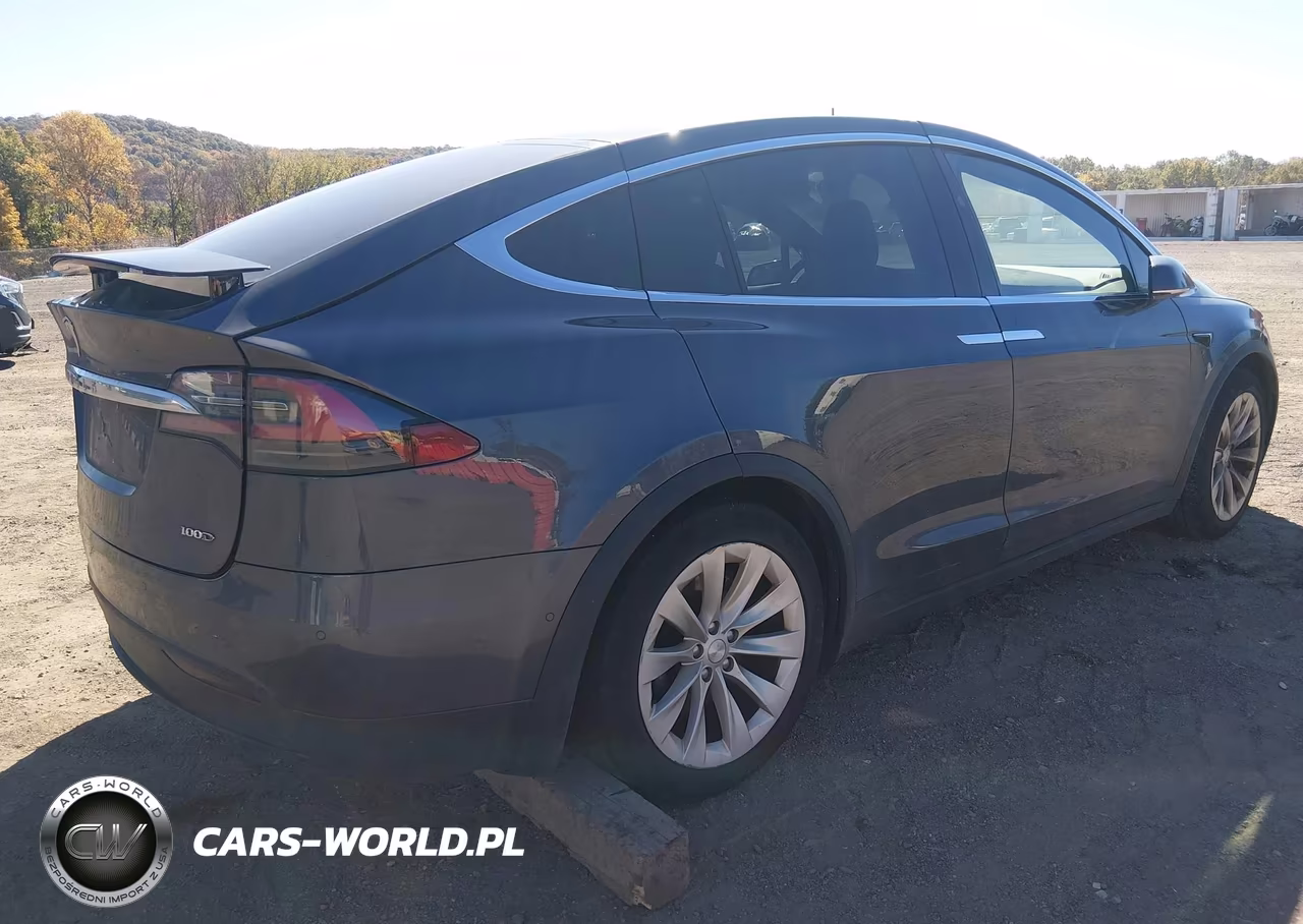 2017 Tesla Model X 100D-75D-90D VIN:5YJXCAE22HF040423 - 4