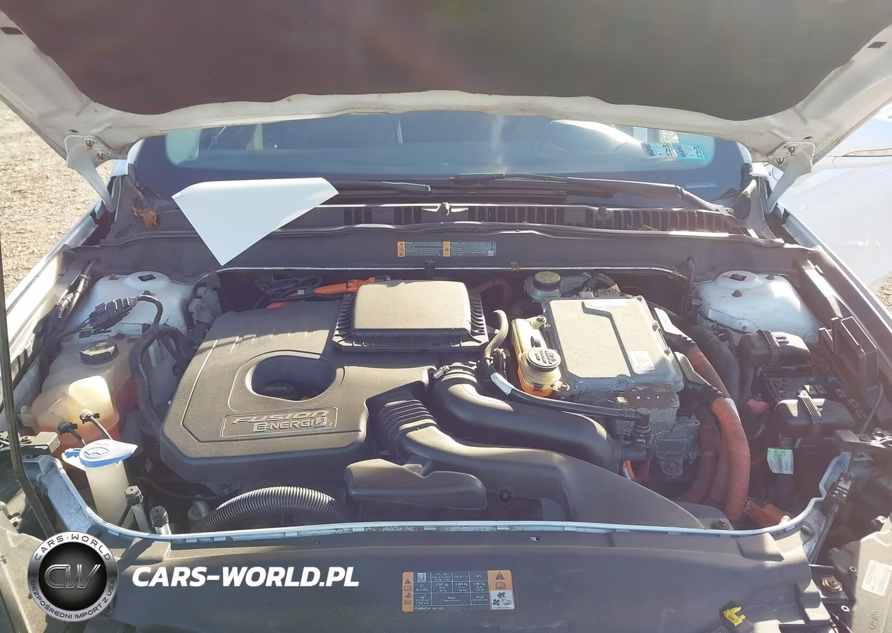 2014 Ford Fusion Energi Titanium VIN:3FA6P0SU1ER230102 - 10
