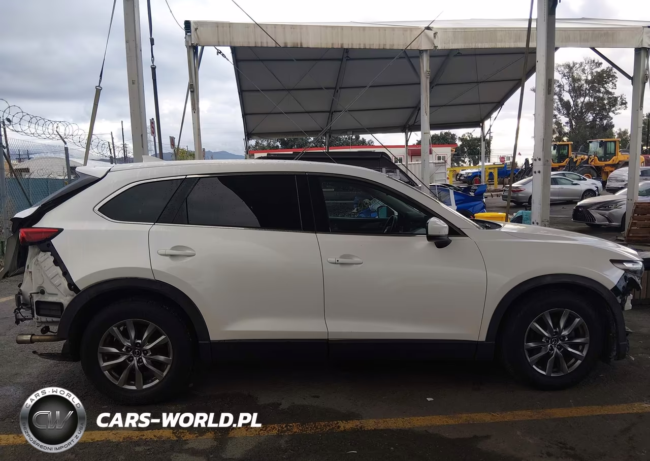 2019 Mazda Cx-9 Touring VIN:JM3TCACY0K0304953 - 14