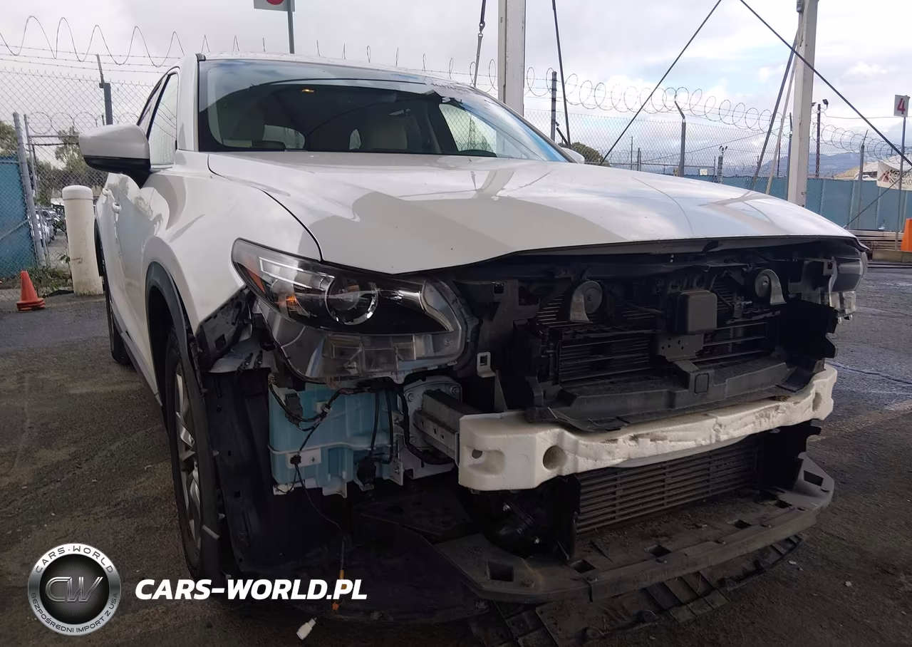 2019 Mazda Cx-9 Touring VIN:JM3TCACY0K0304953 - 6