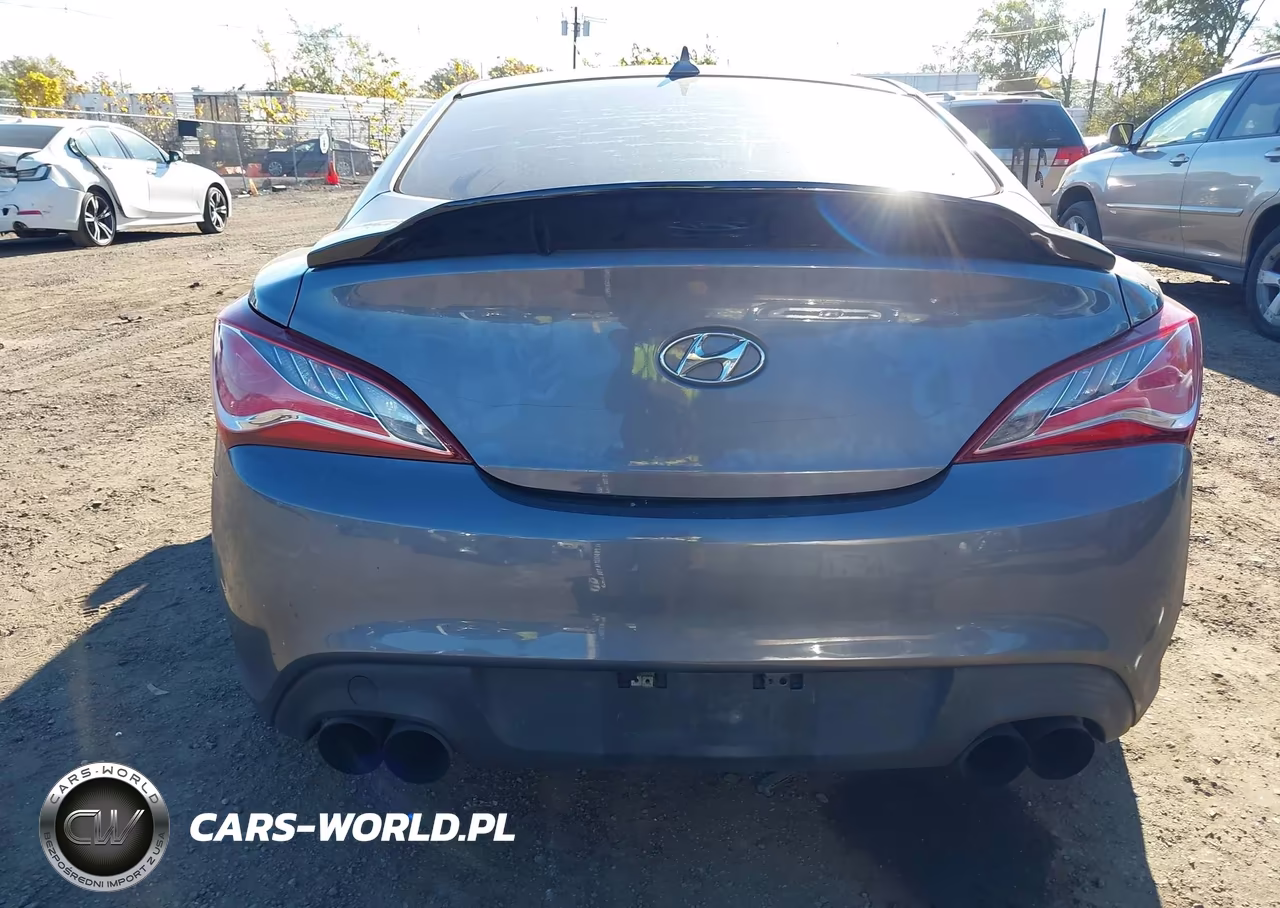 2016 Hyundai Genesis 3.8 Base VIN:KMHHT6KJ1GU131214 - 17