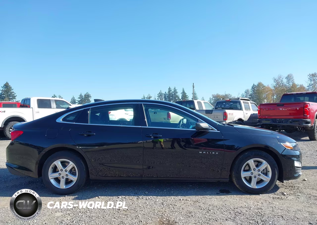2020 Chevrolet Malibu Fwd 1Fl VIN:1G1ZC5ST8LF138317 - 13