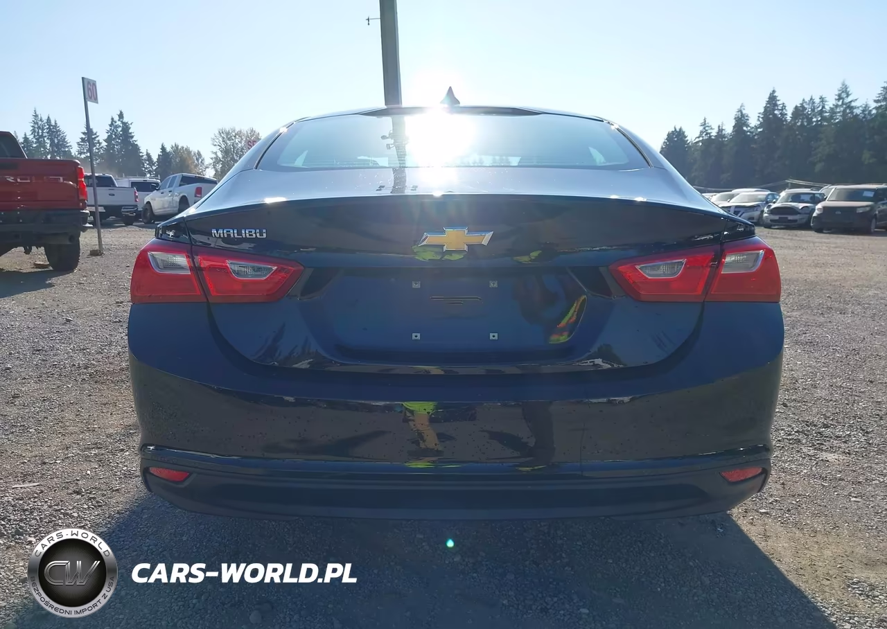 2020 Chevrolet Malibu Fwd 1Fl VIN:1G1ZC5ST8LF138317 - 16