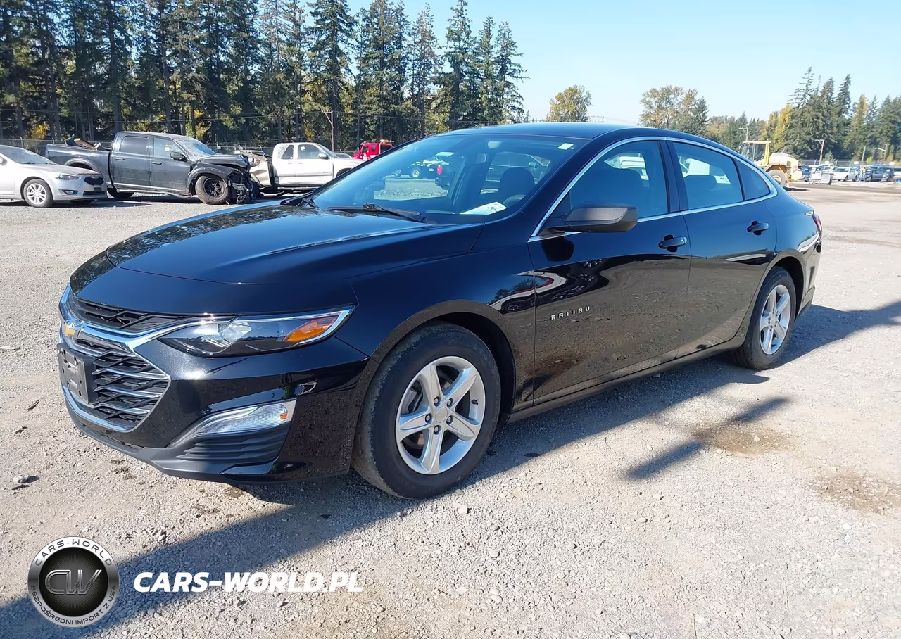 2020 Chevrolet Malibu Fwd 1Fl VIN:1G1ZC5ST8LF138317 - 2