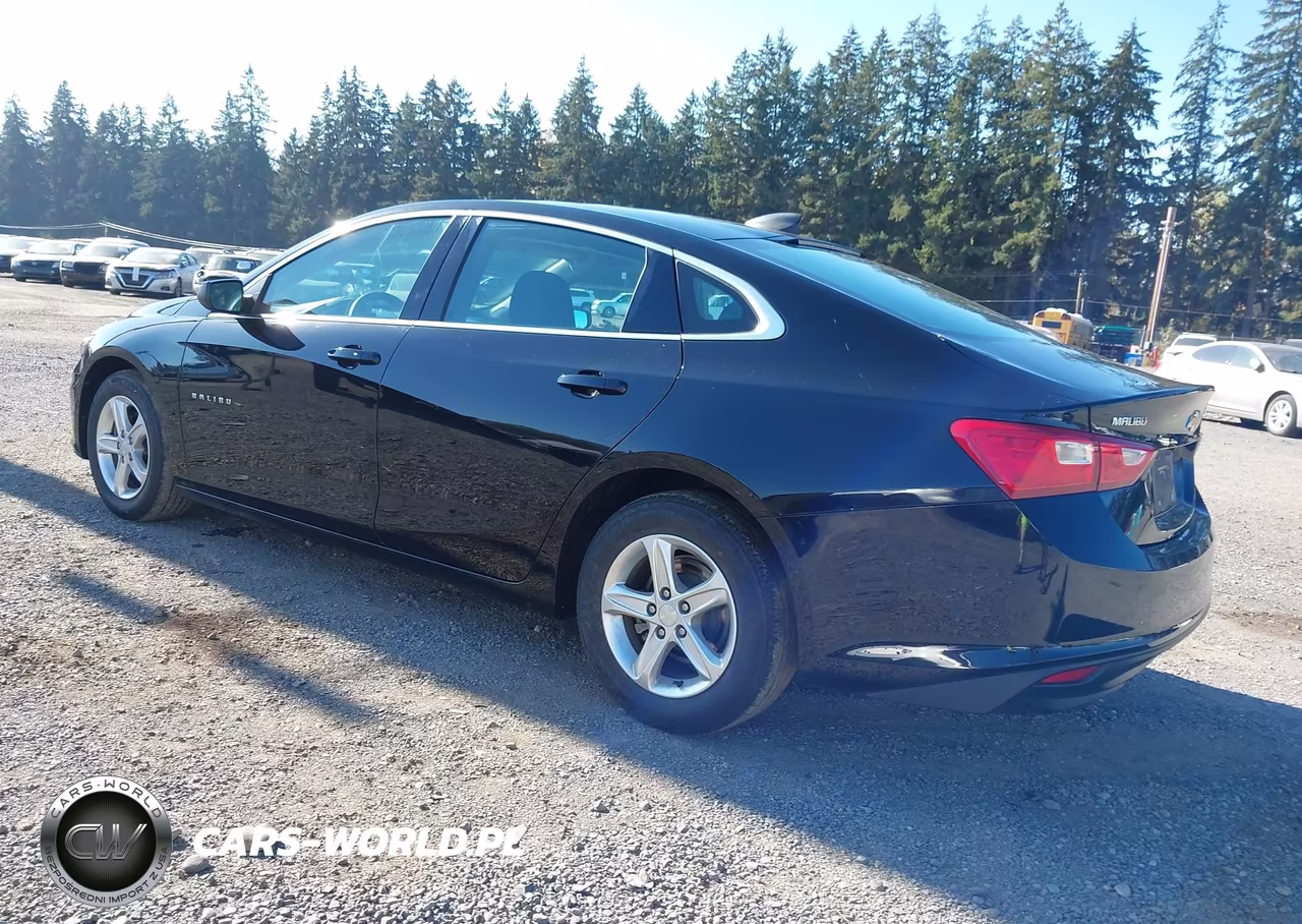 2020 Chevrolet Malibu Fwd 1Fl VIN:1G1ZC5ST8LF138317 - 3