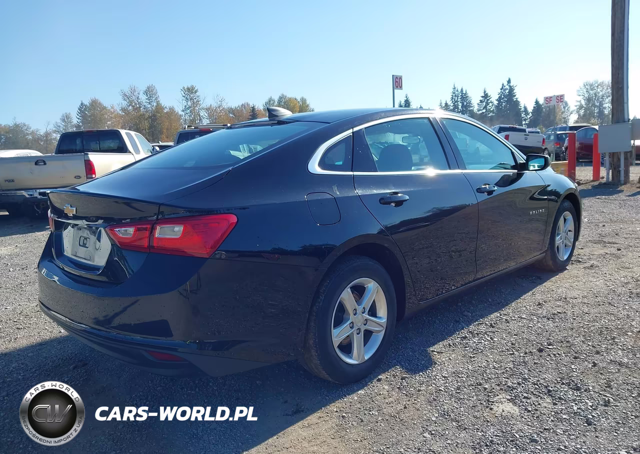 2020 Chevrolet Malibu Fwd 1Fl VIN:1G1ZC5ST8LF138317 - 4