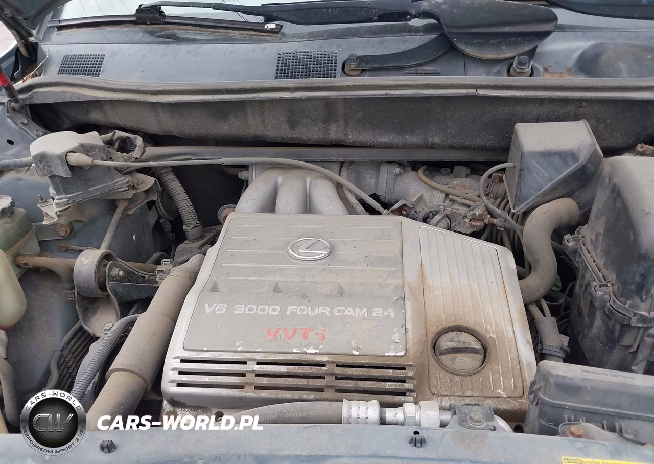 2001 Lexus Rx 300 VIN:JTJHF10U010207285 - 10