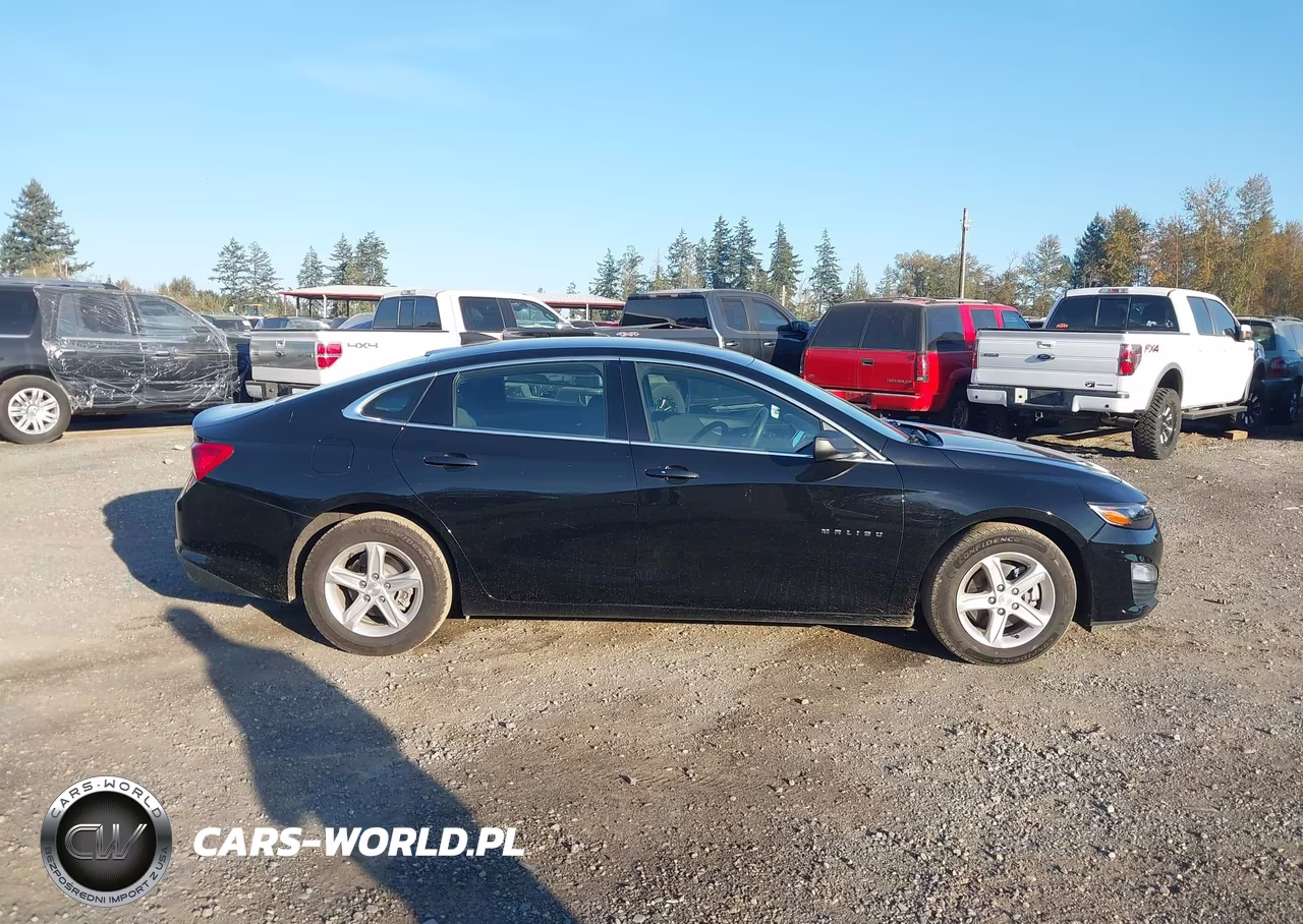 2020 Chevrolet Malibu Fwd 1Fl VIN:1G1ZC5ST0LF138263 - 13