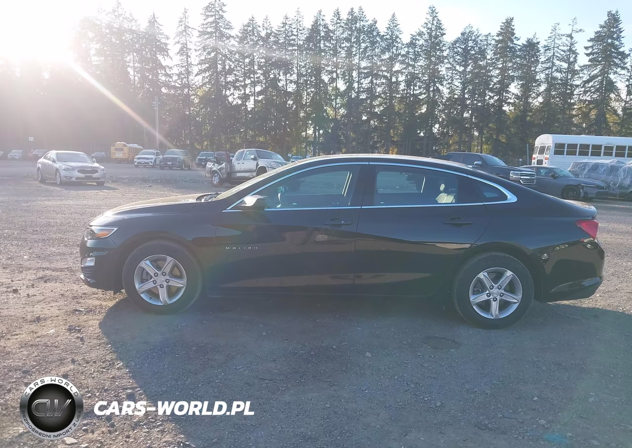 2020 Chevrolet Malibu Fwd 1Fl VIN:1G1ZC5ST0LF138263 - 14