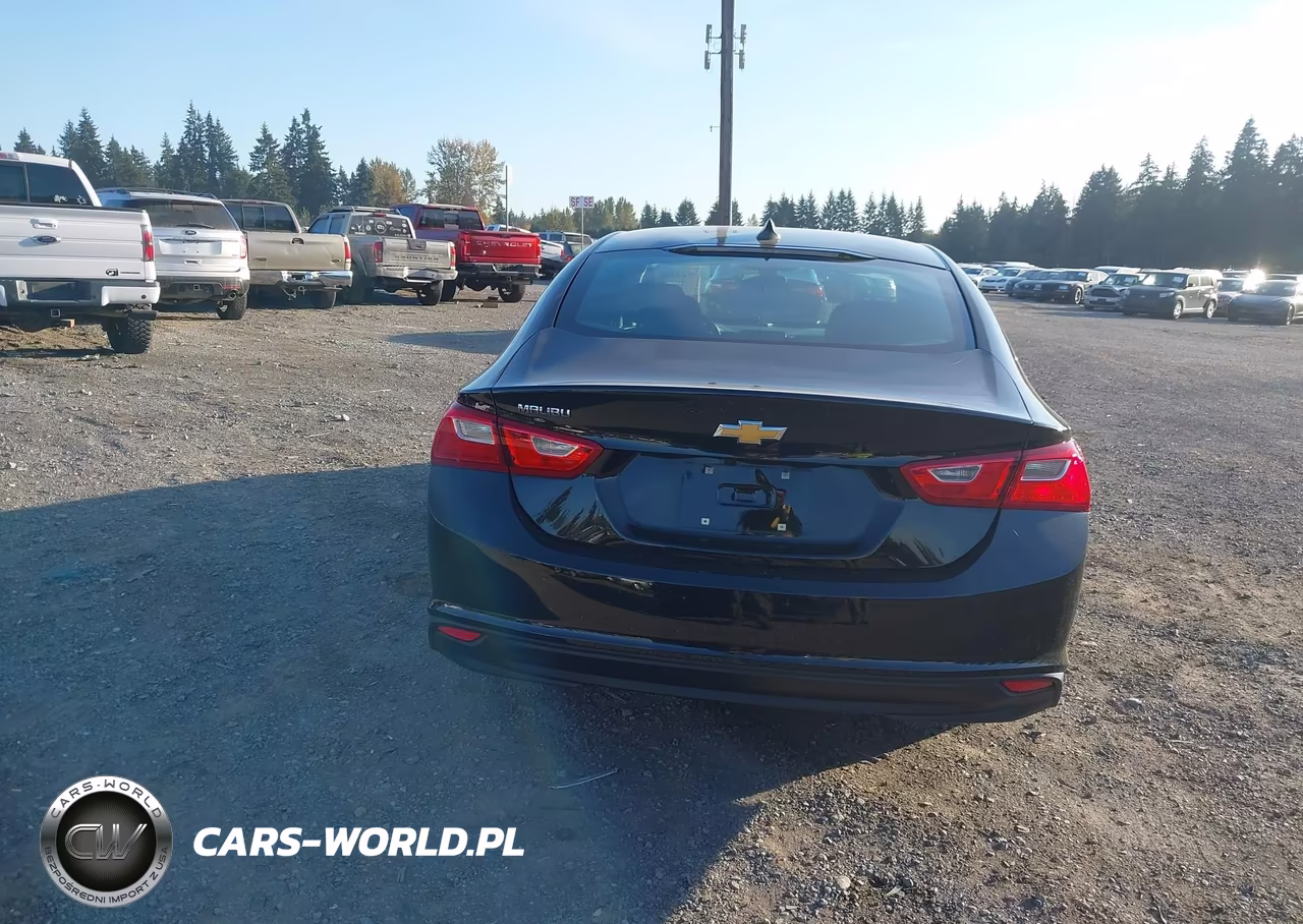 2020 Chevrolet Malibu Fwd 1Fl VIN:1G1ZC5ST0LF138263 - 16