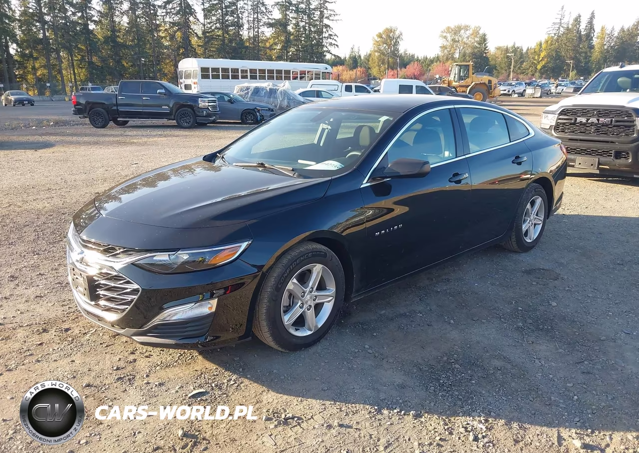 2020 Chevrolet Malibu Fwd 1Fl VIN:1G1ZC5ST0LF138263 - 2
