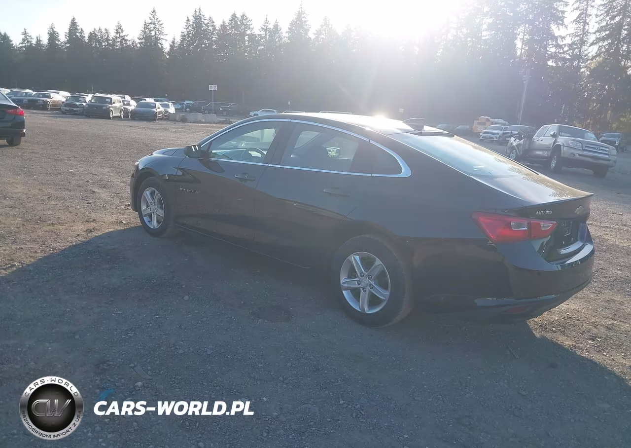 2020 Chevrolet Malibu Fwd 1Fl VIN:1G1ZC5ST0LF138263 - 3