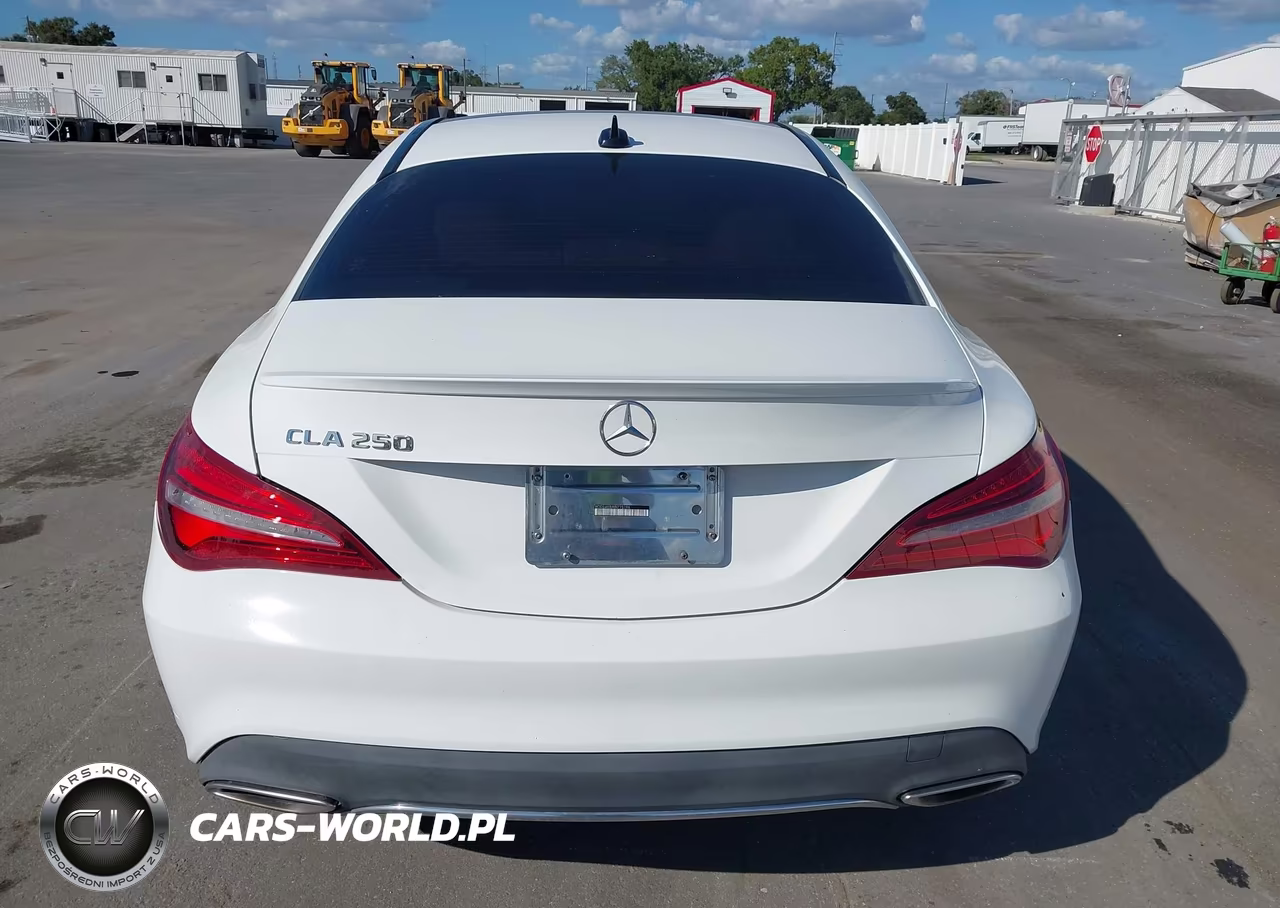2019 Mercedes-Benz Cla 250 VIN:WDDSJ4EBXKN775196 - 16