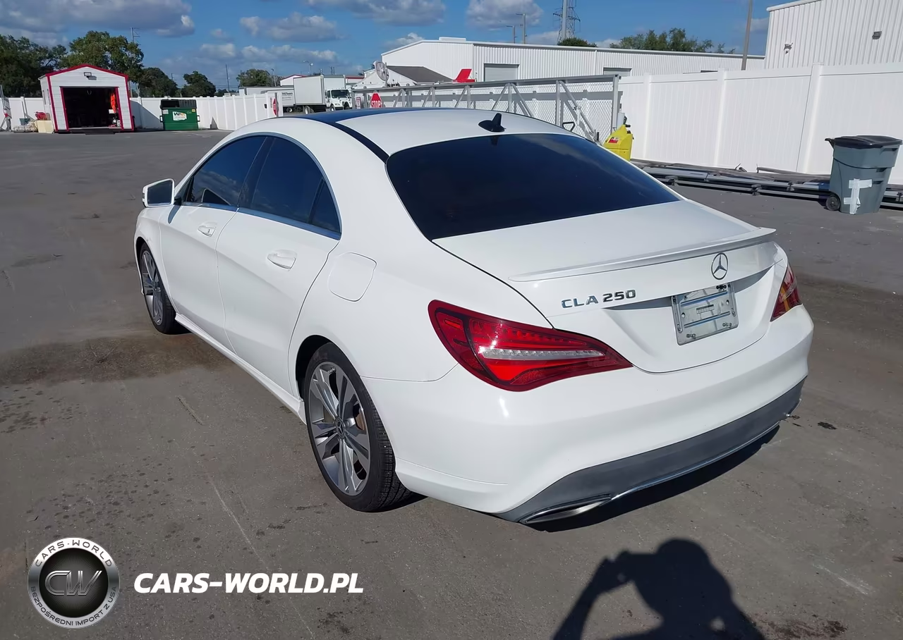 2019 Mercedes-Benz Cla 250 VIN:WDDSJ4EBXKN775196 - 3