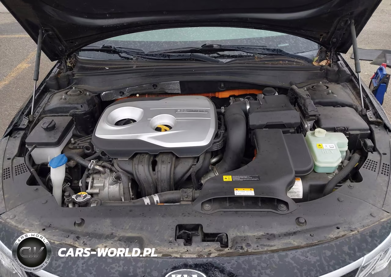 2020 Kia Optima Hybrid Ex VIN:KNAGU4LE0L5038995 - 10