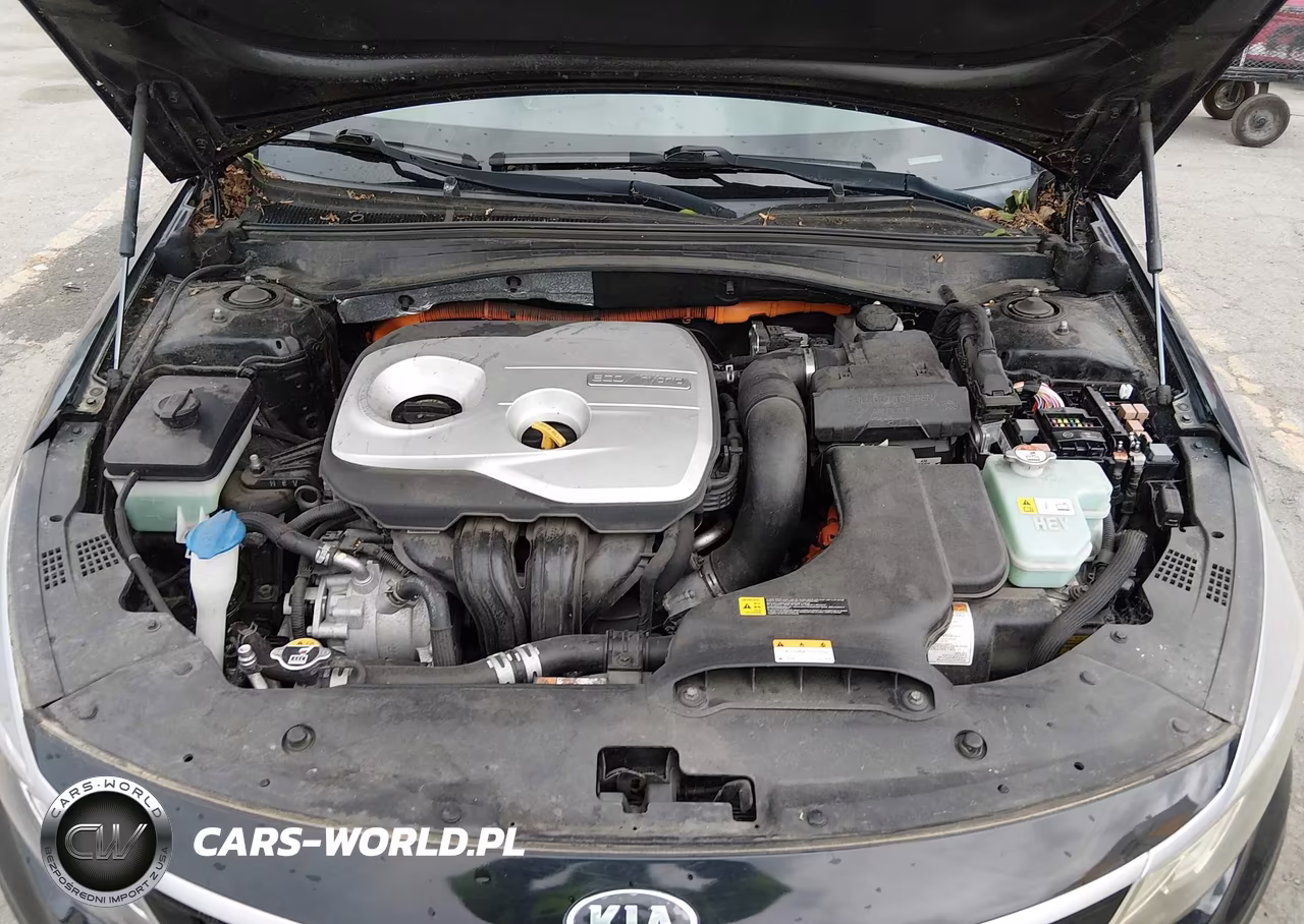 2020 Kia Optima Hybrid Ex VIN:KNAGU4LE8L5038484 - 10