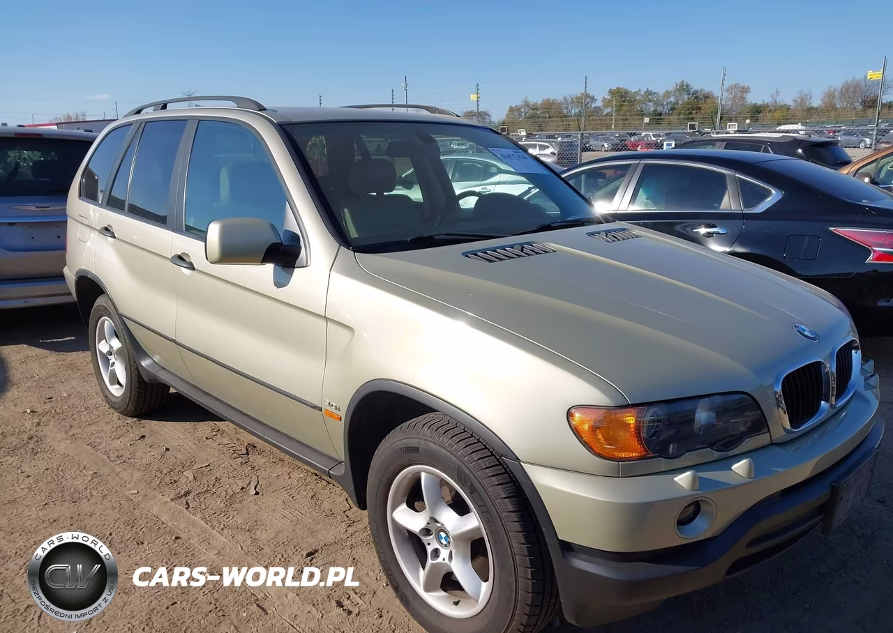 2001 BMW X5 3.0 VIN:WBAFA53511LM83121 - 1