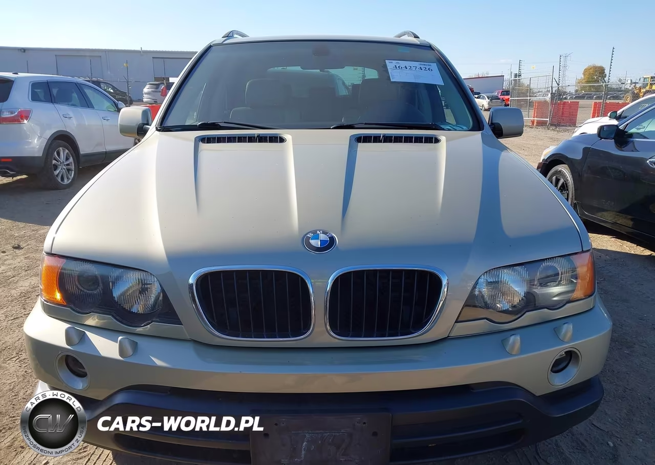 2001 BMW X5 3.0 VIN:WBAFA53511LM83121 - 6