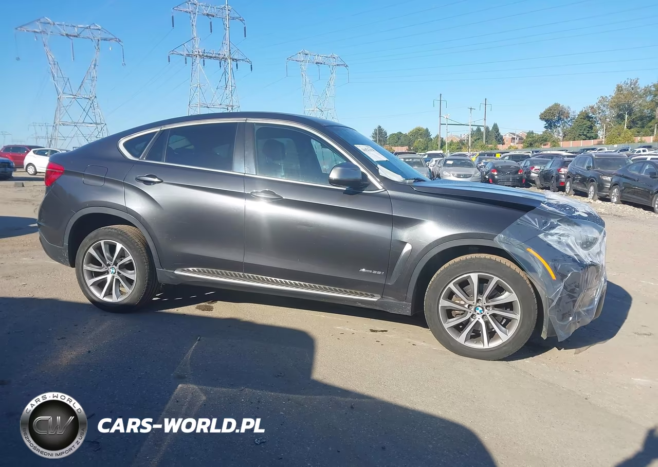 2015 BMW X6 xDrive35I VIN:5UXKU2C51F0F96035 - 13