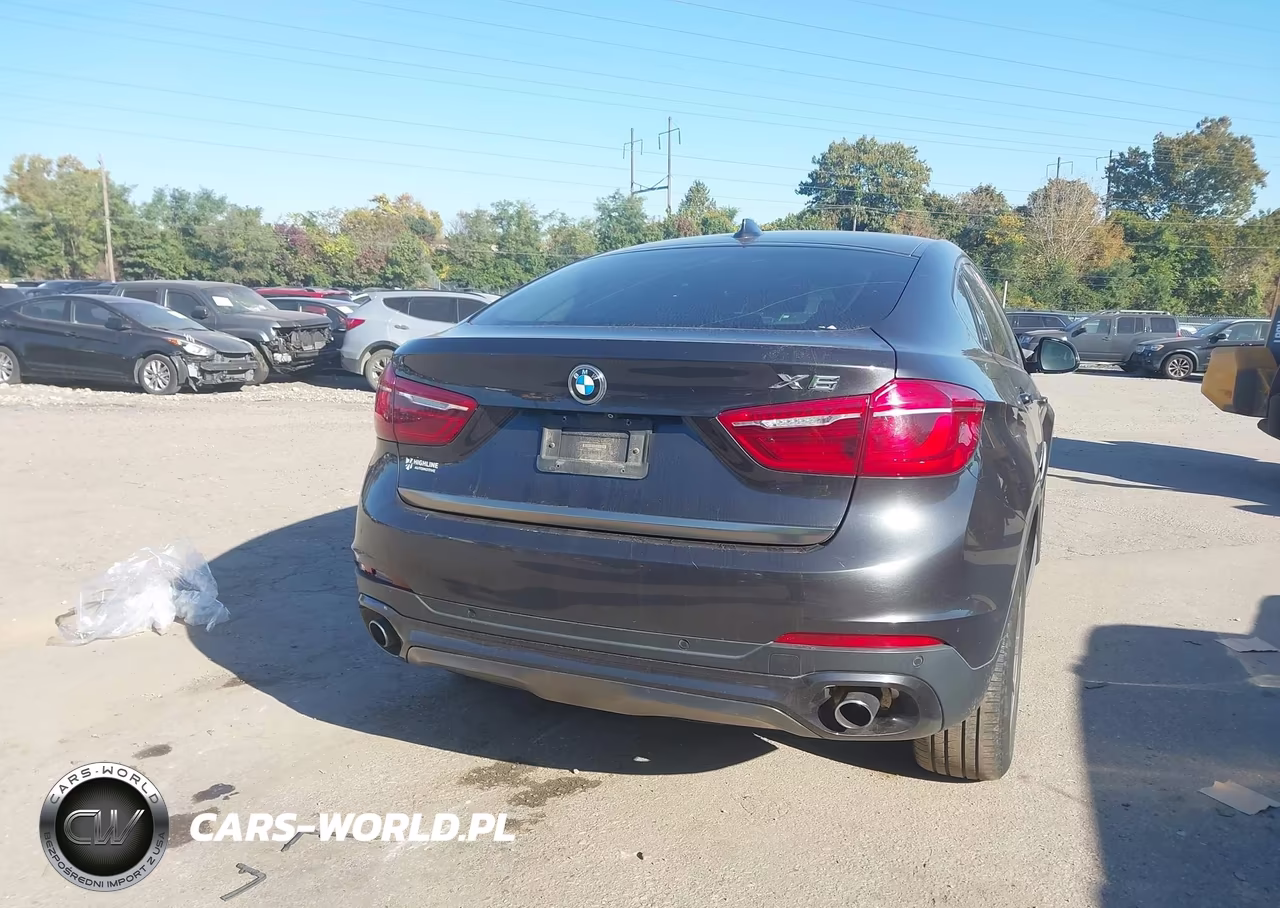 2015 BMW X6 xDrive35I VIN:5UXKU2C51F0F96035 - 16