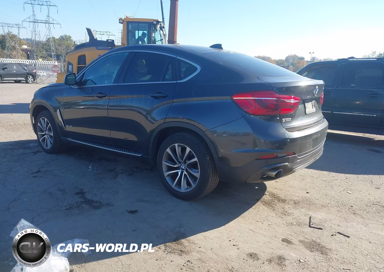 2015 BMW X6 xDrive35I VIN:5UXKU2C51F0F96035 - 3