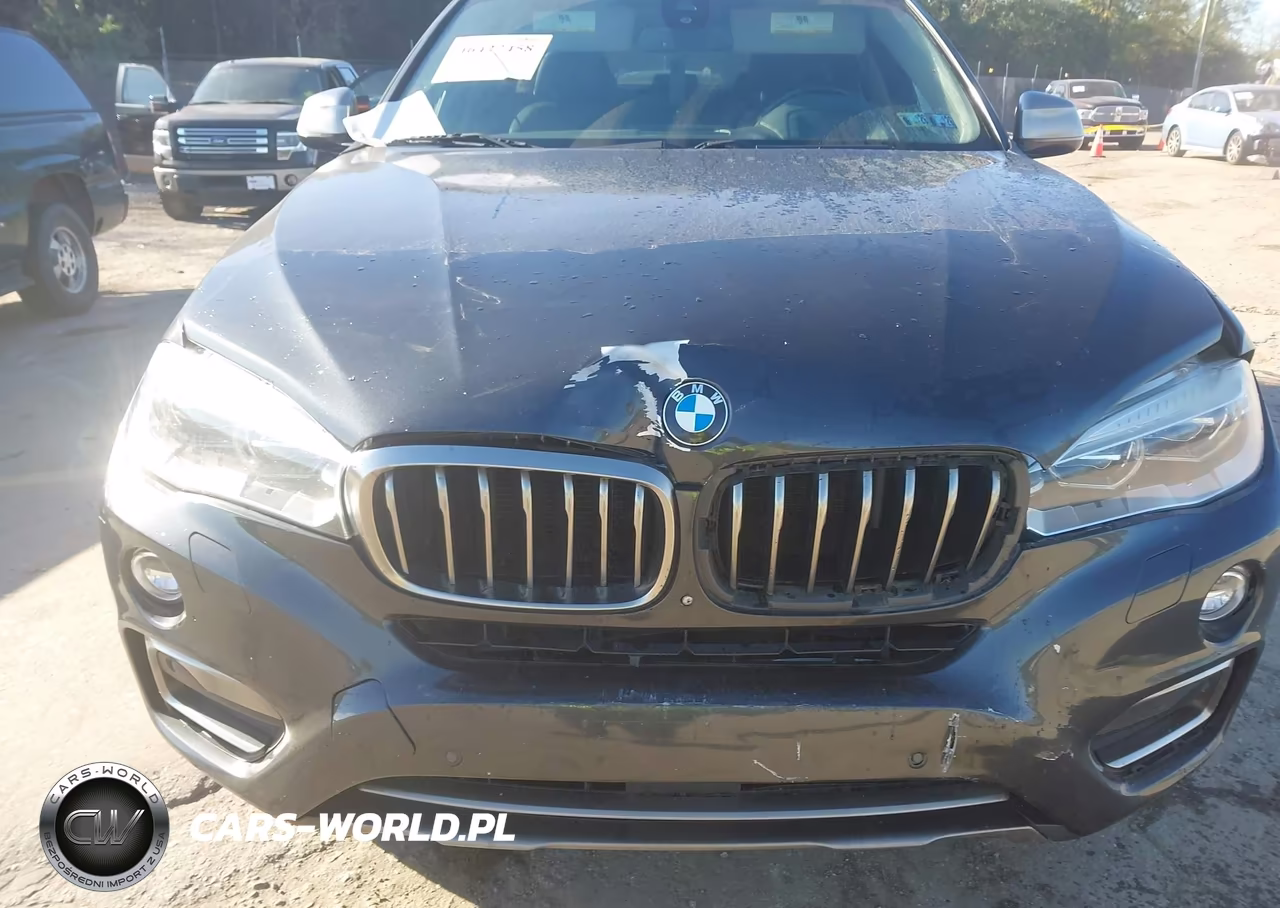 2015 BMW X6 xDrive35I VIN:5UXKU2C51F0F96035 - 6