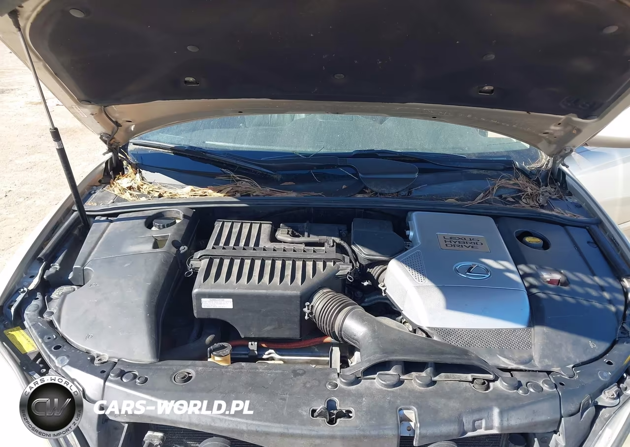 2007 Lexus Rx 400H VIN:JTJHW31U972008050 - 10