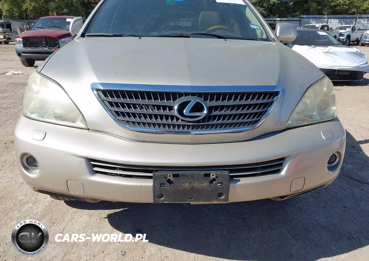 2007 Lexus Rx 400H VIN:JTJHW31U972008050 - 6