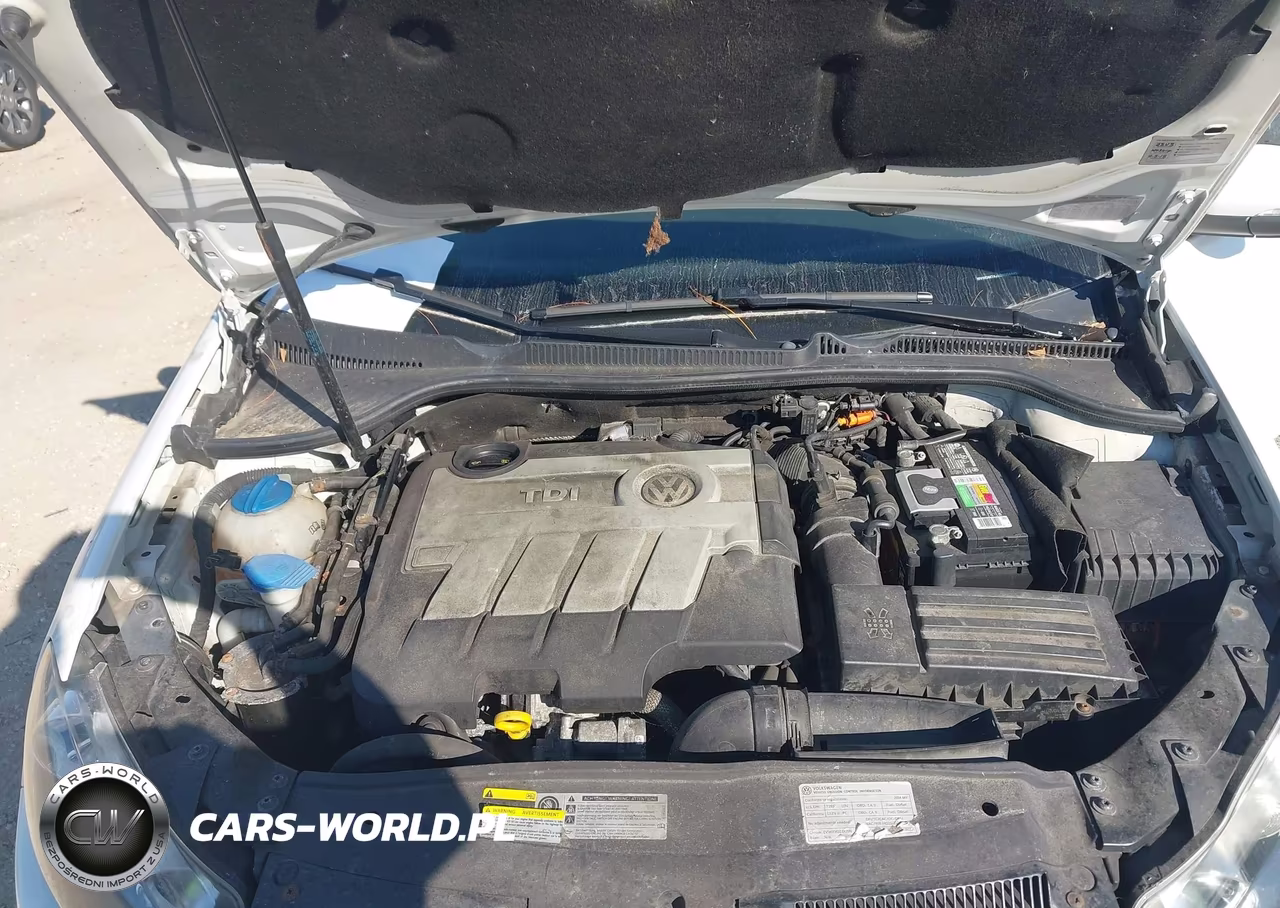 2014 Volkswagen Golf 2.0L Tdi VIN:WVWDM7AJ9EW004445 - 10