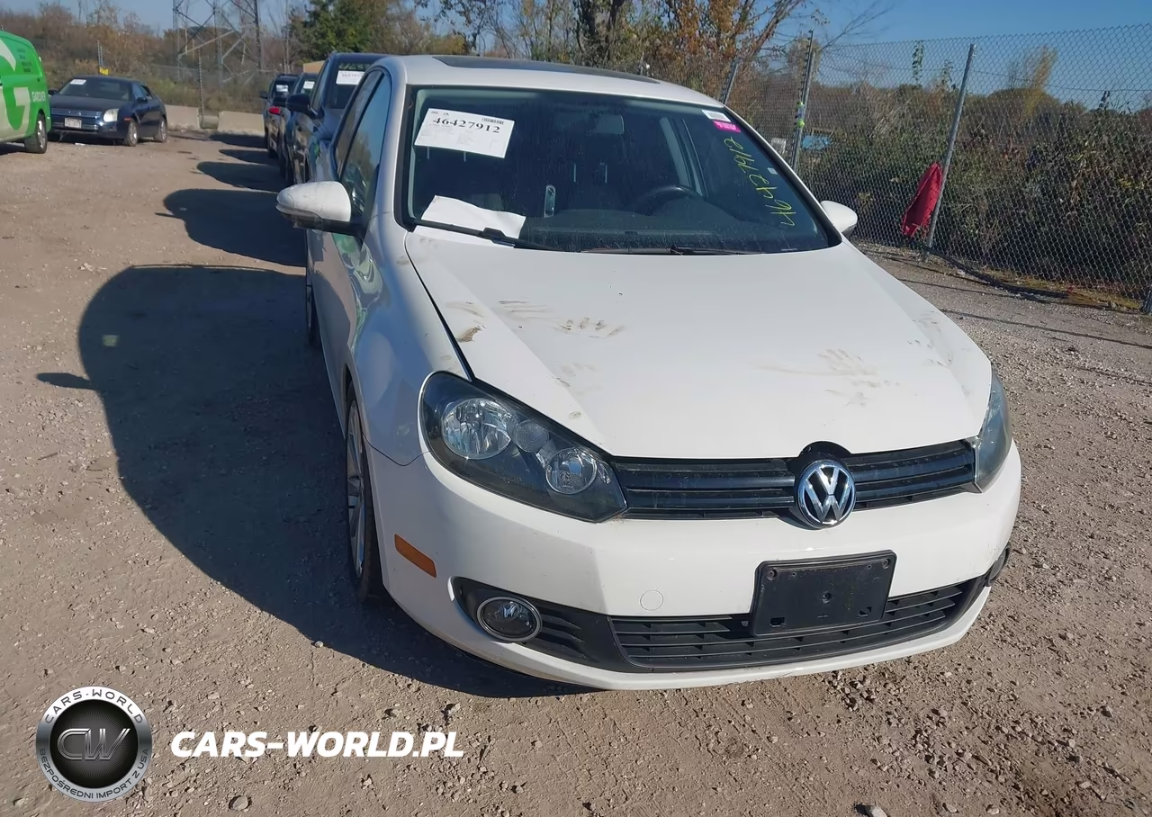 2014 Volkswagen Golf 2.0L Tdi VIN:WVWDM7AJ9EW004445 - 12